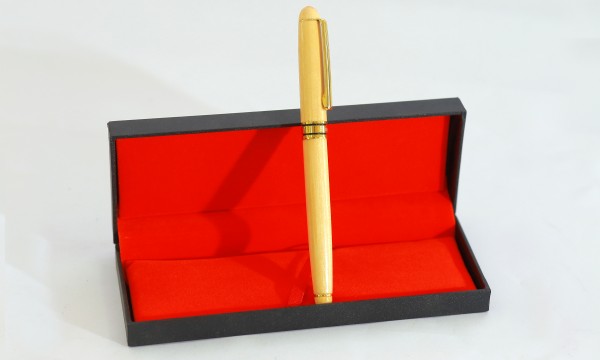 Bút ký mực bi E995